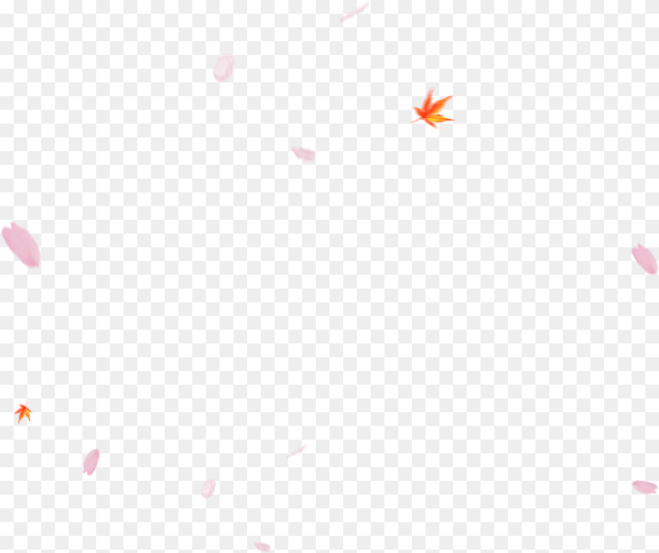Sakura Flower Balloon, Leaf, Plant, Paper, Animal Free Png Download