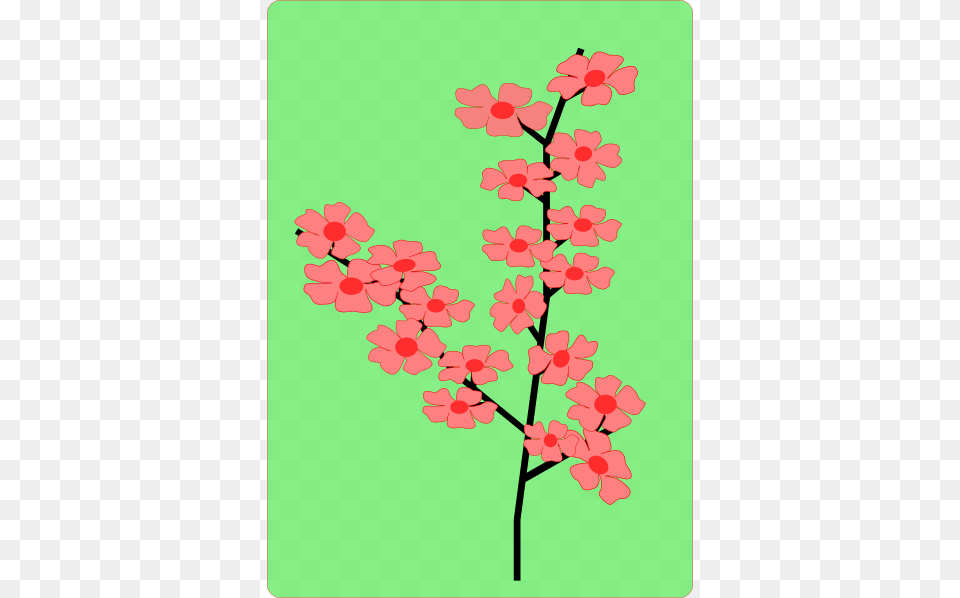 Sakura Flower Black Clip Art And Flower, Plant, Geranium, Pattern, Petal Free Transparent Png