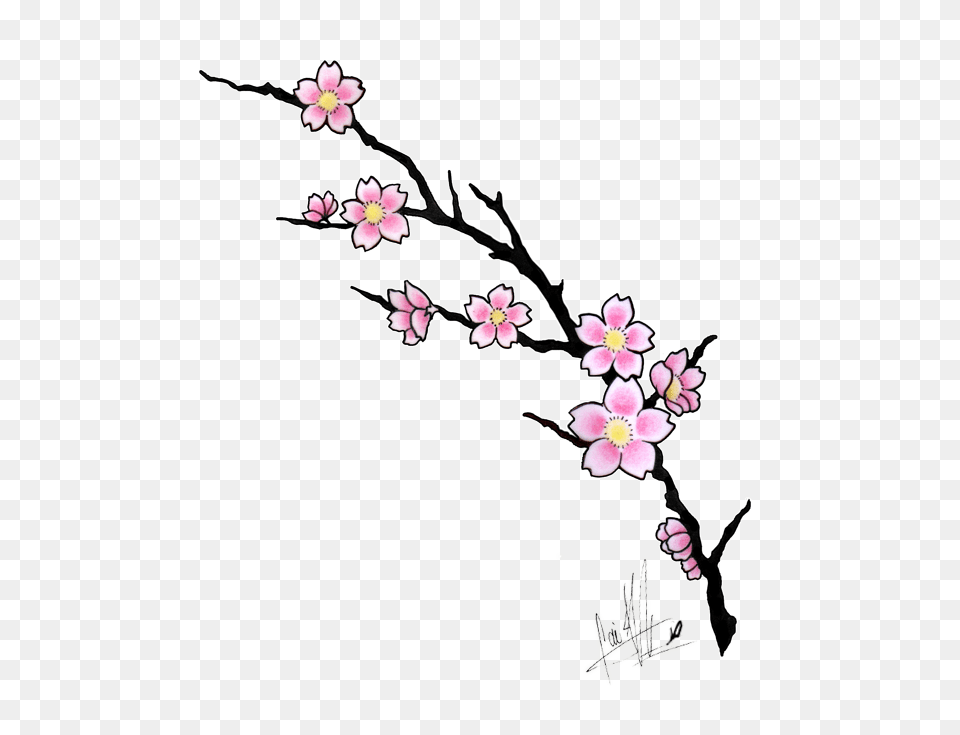 Sakura Flower Clip Art, Plant, Cherry Blossom Free Png Download