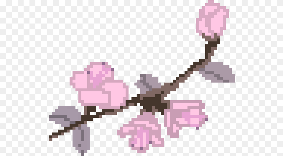 Sakura Flower Pixel Art, Plant, Cherry Blossom, Petal Png