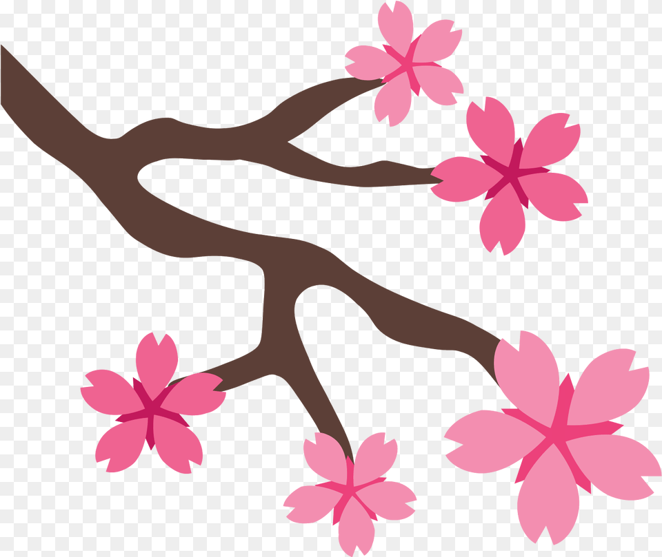 Sakura Flower Sakura, Petal, Plant, Leaf, Animal Free Transparent Png