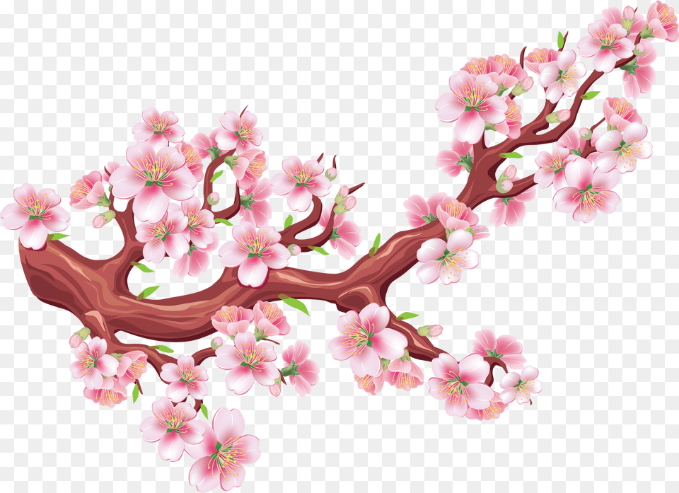 Sakura Hotuna Cherry Blossom Graphic, Flower, Plant, Cherry Blossom, Accessories Free Png Download