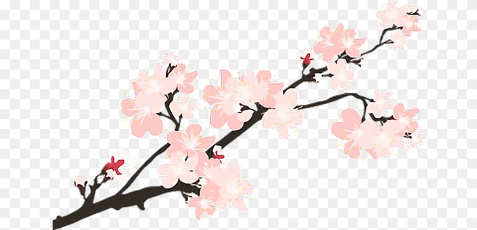 Sakura Japan Sticker Remixit, Flower, Plant, Cherry Blossom Free Png Download