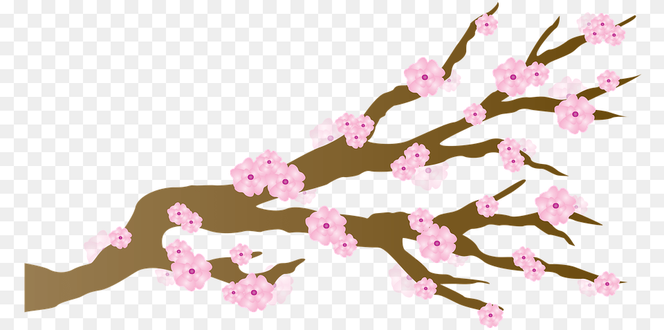 Sakura Japanese Cherry Blossom Tree Cartoon, Flower, Plant, Cherry Blossom, Person Free Png