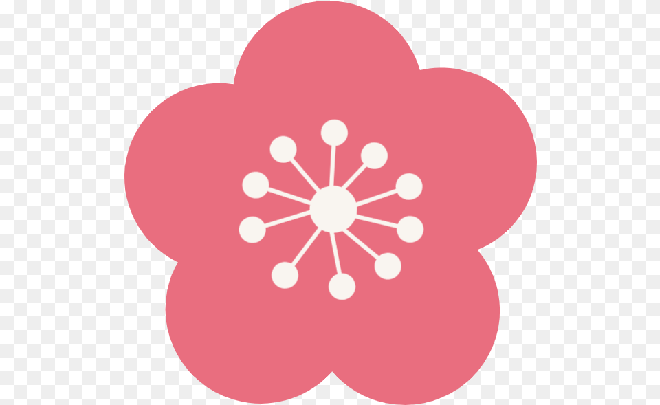 Sakura Oriental Cherry Blossom Vector Simple Sakura Clipart, Flower, Plant, Anemone, Anther Png Image