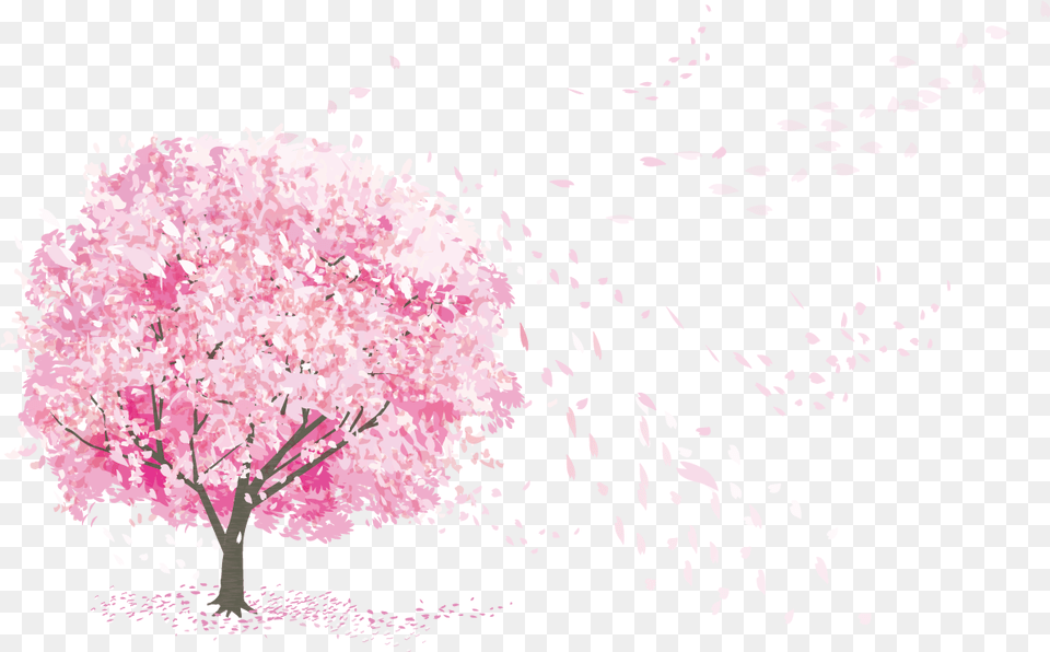 Sakura Pink Deco Japan Flowers Tree Spring Splash, Flower, Plant, Cherry Blossom, Petal Png