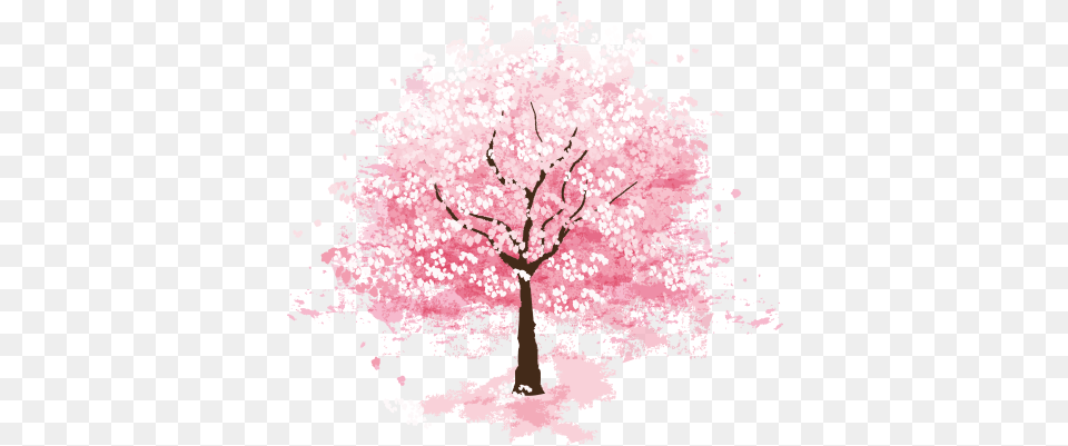 Sakura Transparent Clipart Anime Cherry Blossom Tree, Flower, Plant, Cherry Blossom Free Png