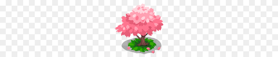 Sakura Tree Dragon Story Wiki Fandom Powered, Art, Plant, Painting, Graphics Free Png