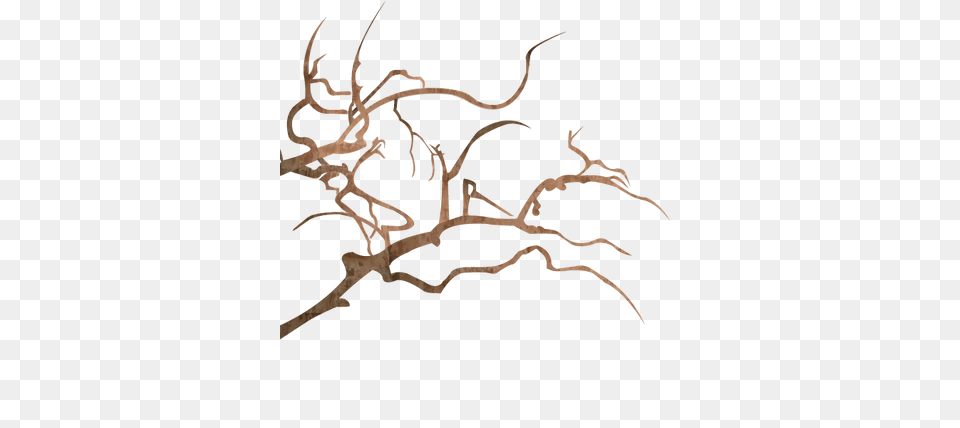 Sakura Tree Without Flowers And Leaves, Wood, Animal, Invertebrate, Spider Free Png