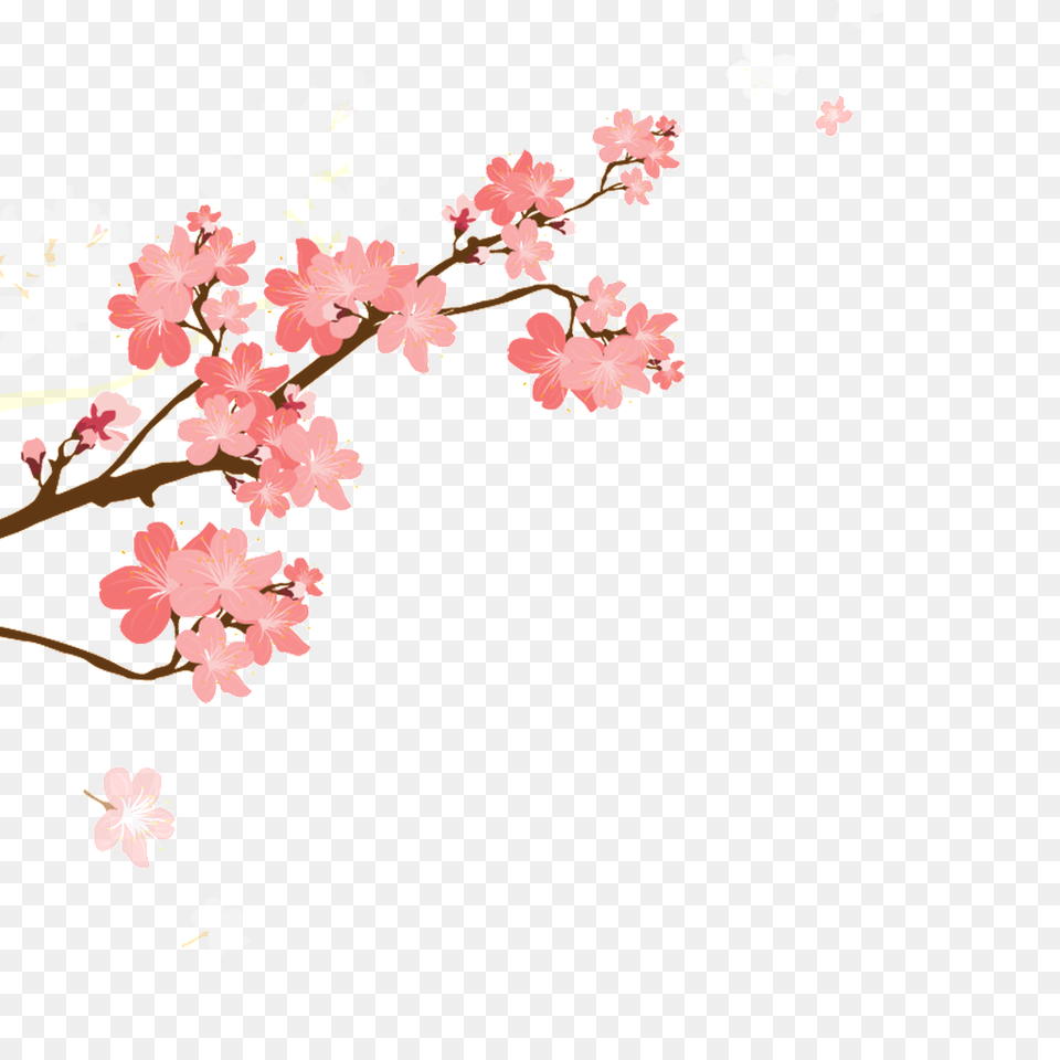 Sakura Vector On Heypik, Flower, Plant, Cherry Blossom Free Png Download