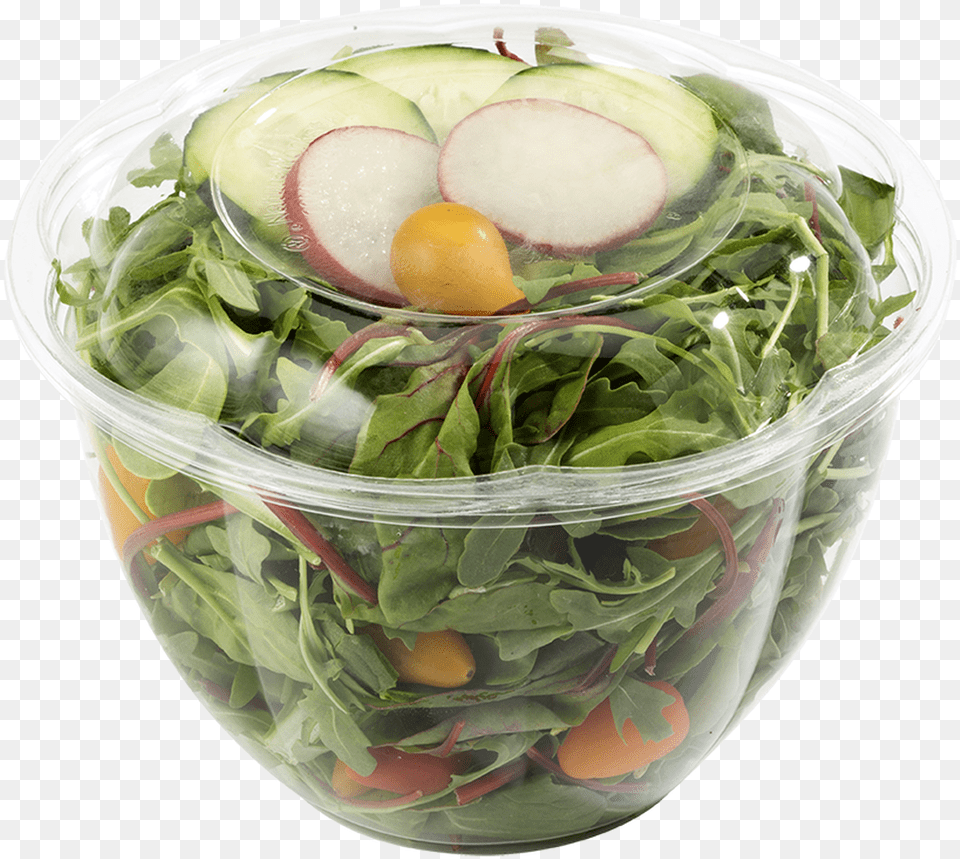 Salad, Arugula, Food, Leafy Green Vegetable, Plant Free Png Download