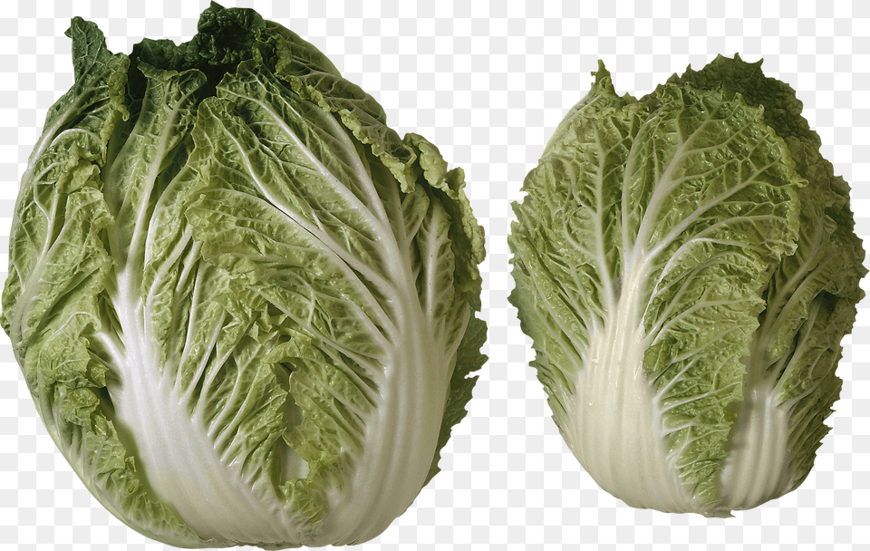 Salad 2 Heads Of Lettuce, Food, Produce, Leafy Green Vegetable, Plant Free Png