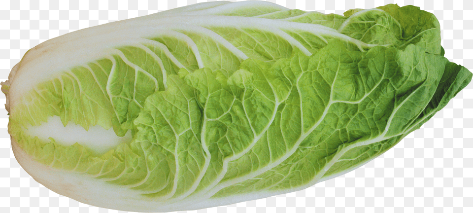 Salad Free Transparent Png