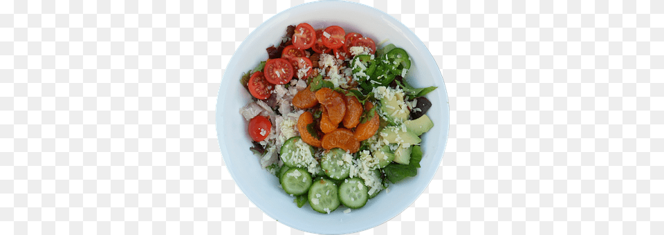 Salad Food, Meal, Plate, Produce Png Image
