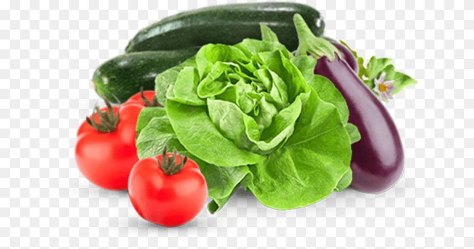 Salad And Ratatouille Fullstar Salad Spinner Set With Mandoline Spiralizer, Food, Produce, Plant, Lettuce Free Transparent Png