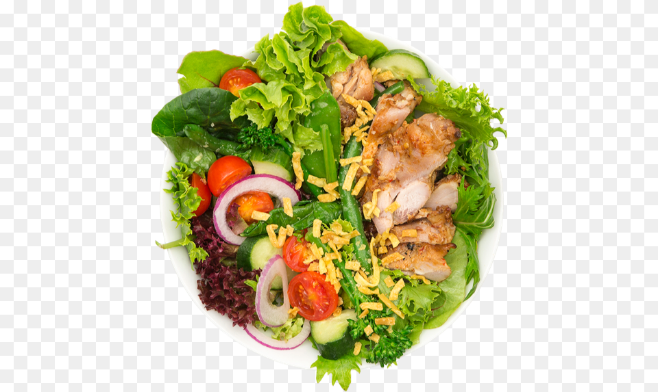 Salad Bowl, Lunch, Food, Food Presentation, Meal Free Png