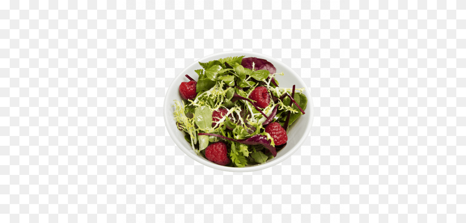 Salad Bowl Weber 14cm Bowl, Food, Food Presentation, Plate, Arugula Free Png Download