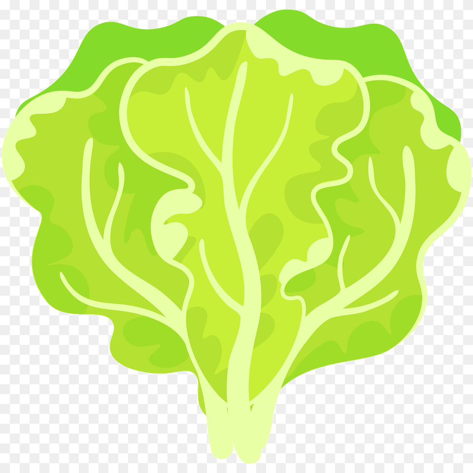 Salad Clipart, Food, Lettuce, Plant, Produce Png