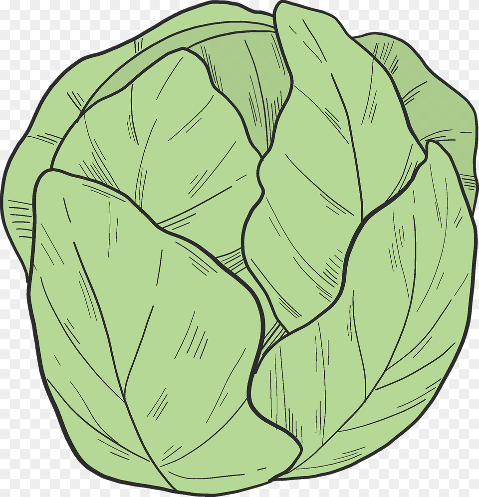 Salad Clipart, Leafy Green Vegetable, Food, Vegetable, Produce Png Image