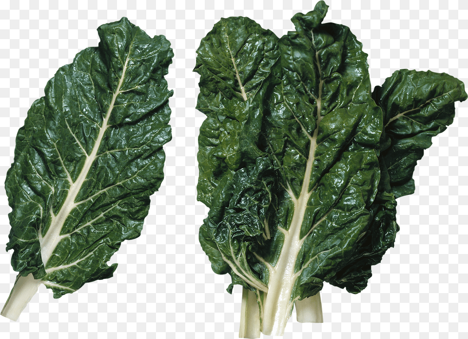 Salad Define Chard Png