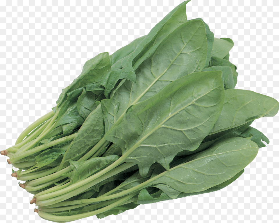 Salad Image Green Leafy Vegetables, Food, Leafy Green Vegetable, Plant, Produce Free Png Download
