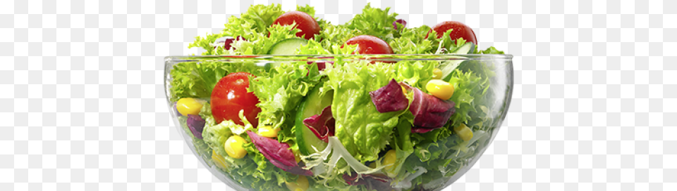 Salad Images Green Salad Burger King, Meal, Food, Lunch, Vegetable Free Png