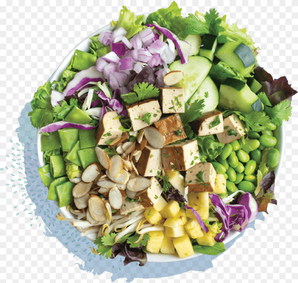 Salad In A Bowl Salata, Food, Lunch, Meal, Dish Free Transparent Png