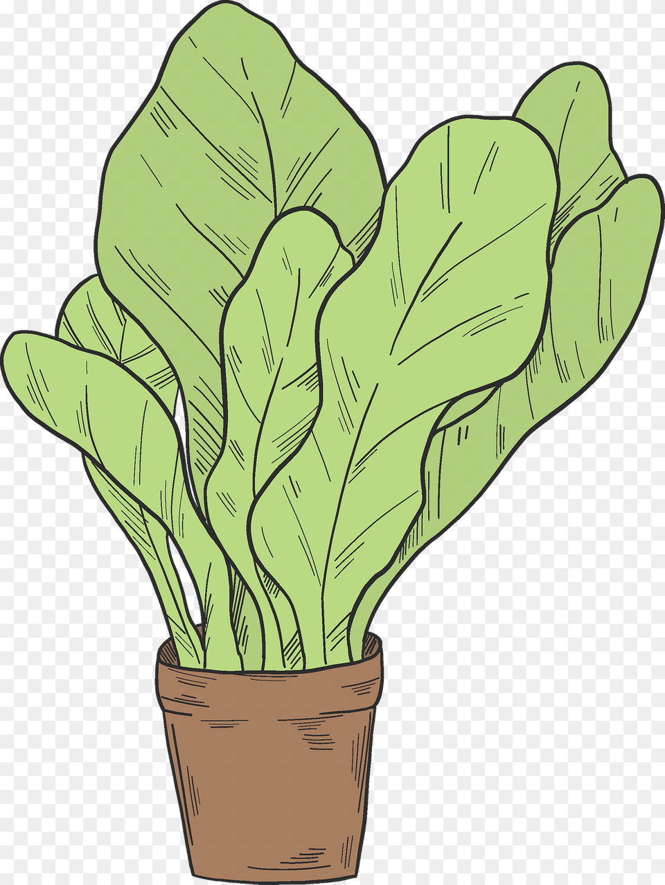 Salad In A Pot Clipart, Leaf, Plant, Food, Leafy Green Vegetable Png