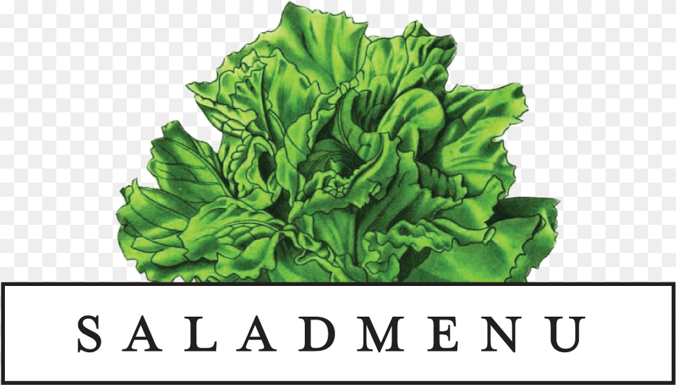 Salad Menu Salad Menu, Food, Lettuce, Plant, Produce Free Png Download
