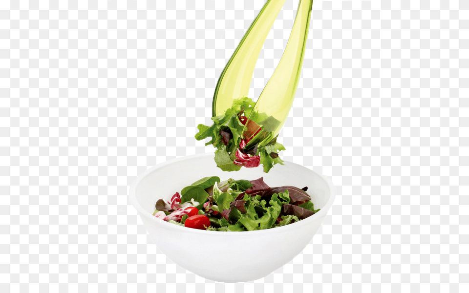 Salad Photo Spinach Salad, Food, Lettuce, Plant, Produce Free Png