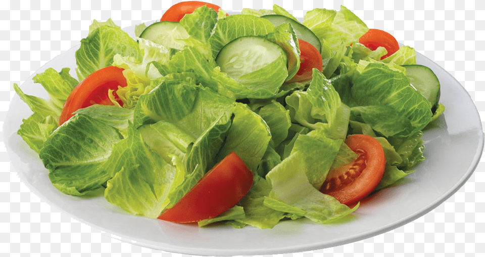 Salad Plate, Food, Lettuce, Plant Free Transparent Png