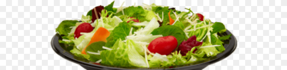 Salad Transparent Premium Caesar Salad, Food, Lunch, Meal, Birthday Cake Png Image