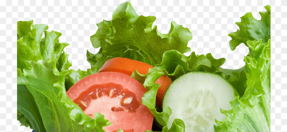 Salad Transparent Salad, Food, Lettuce, Plant, Produce Free Png Download
