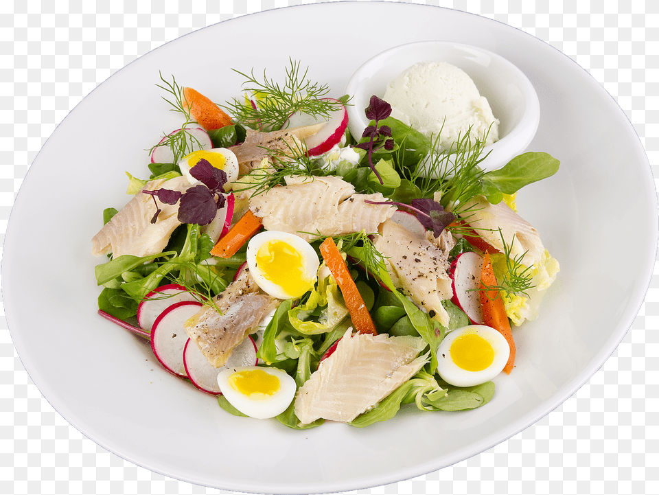 Salad With Fillet Of Smoked Trout Lettuce Radish Caesar Caesar Salad, Food, Food Presentation, Egg, Plate Free Png Download