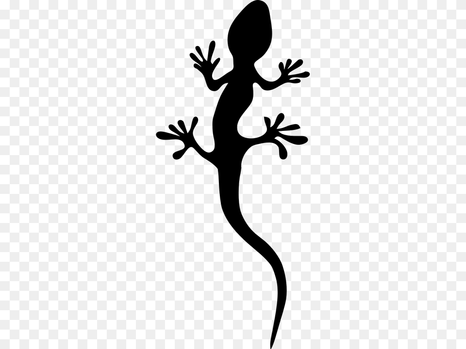 Salamander Clip Art, Gray Free Transparent Png