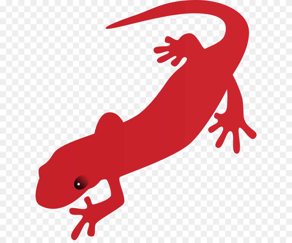 Salamander Clip Art Animal, Amphibian, Wildlife, Fish Free Png