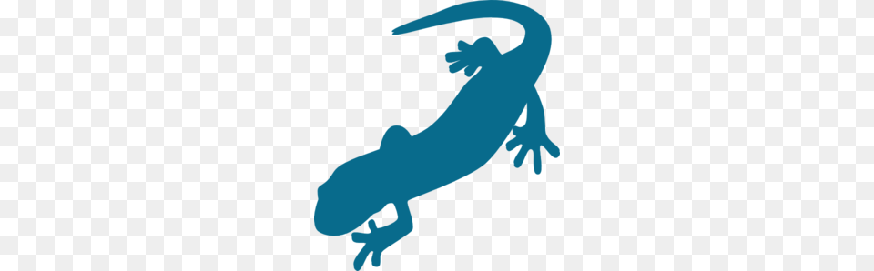 Salamander Clipart, Animal, Gecko, Lizard, Reptile Png