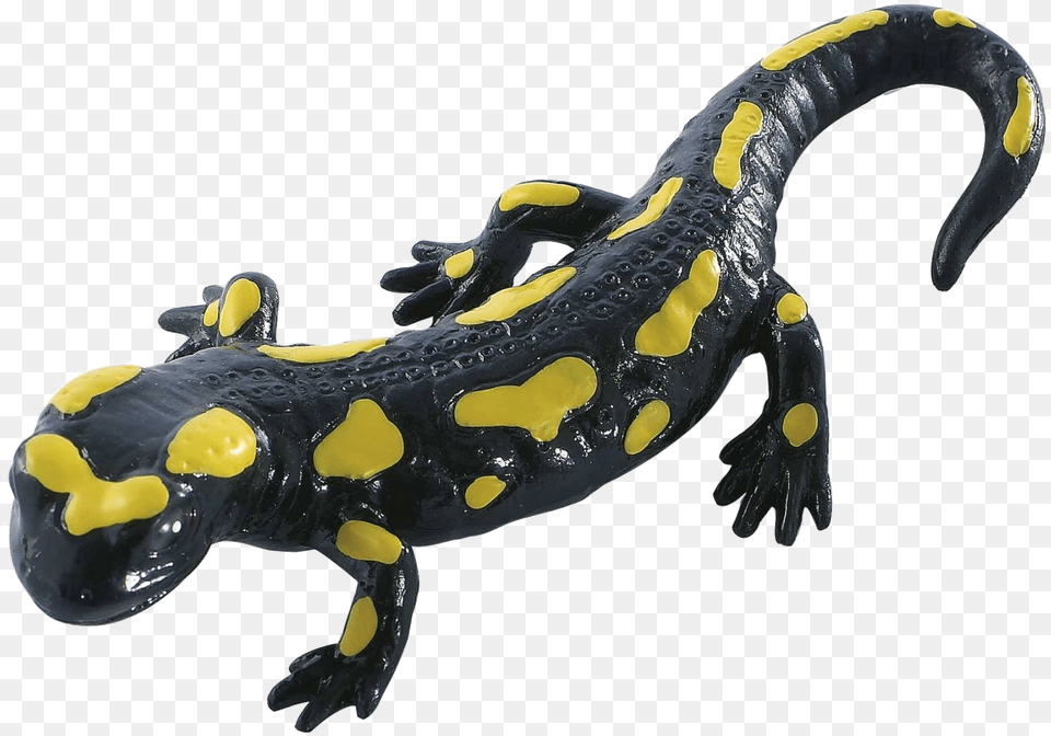 Salamander Images Fire Salamander Action Figuresfigures, Amphibian, Animal, Wildlife Png