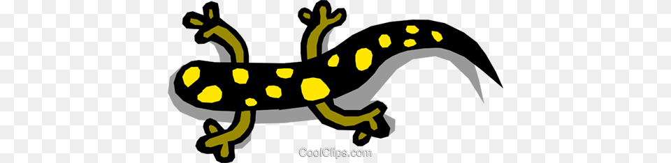 Salamander Royalty Vector Clip Art Illustration, Amphibian, Wildlife, Animal, Grass Free Png Download