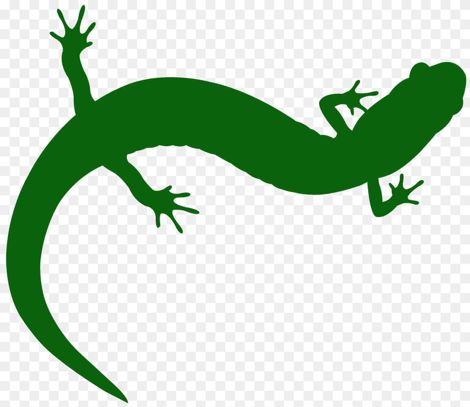Salamander Silhouette, Animal, Gecko, Lizard, Reptile Free Transparent Png