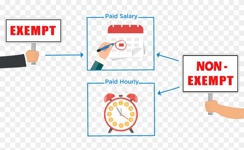 Salary Vs Hourly Of Exempt Vs Non Exempt Employee, Text, Person Png Image