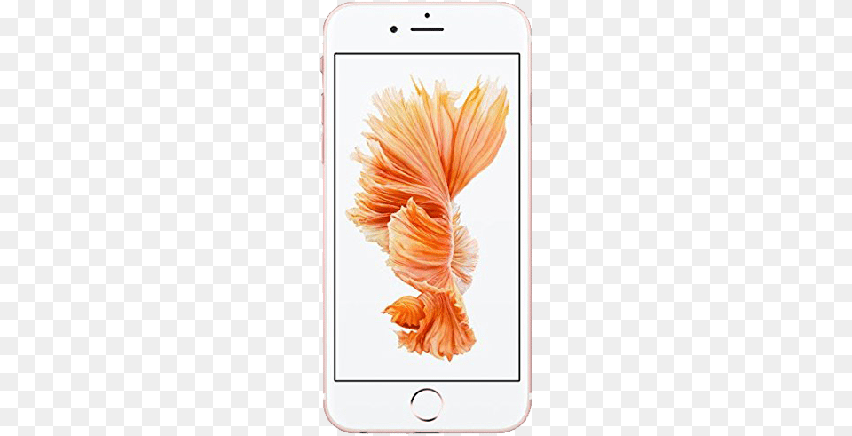 Sale Apple Iphone 6s Factory Unlocked 4g Lte Cdmagsm, Mobile Phone, Electronics, Plant, Flower Png Image
