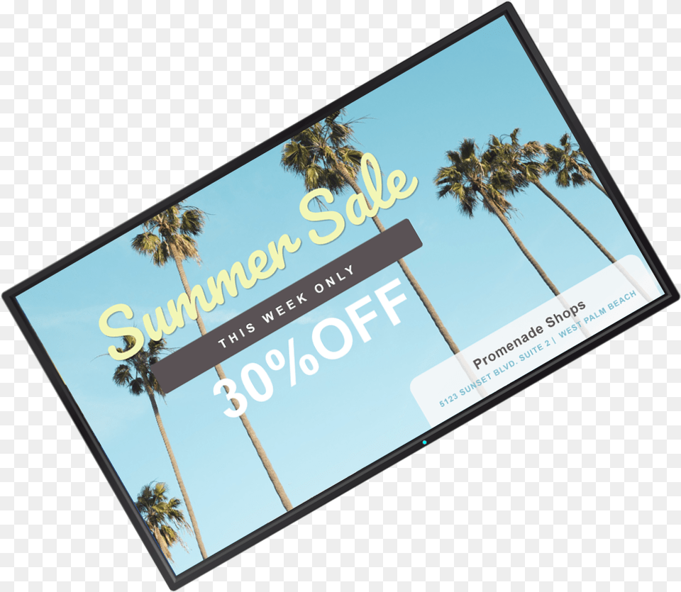Sale Retail Digital Signage Template Signage, Advertisement, Poster, Plant, Tree Png