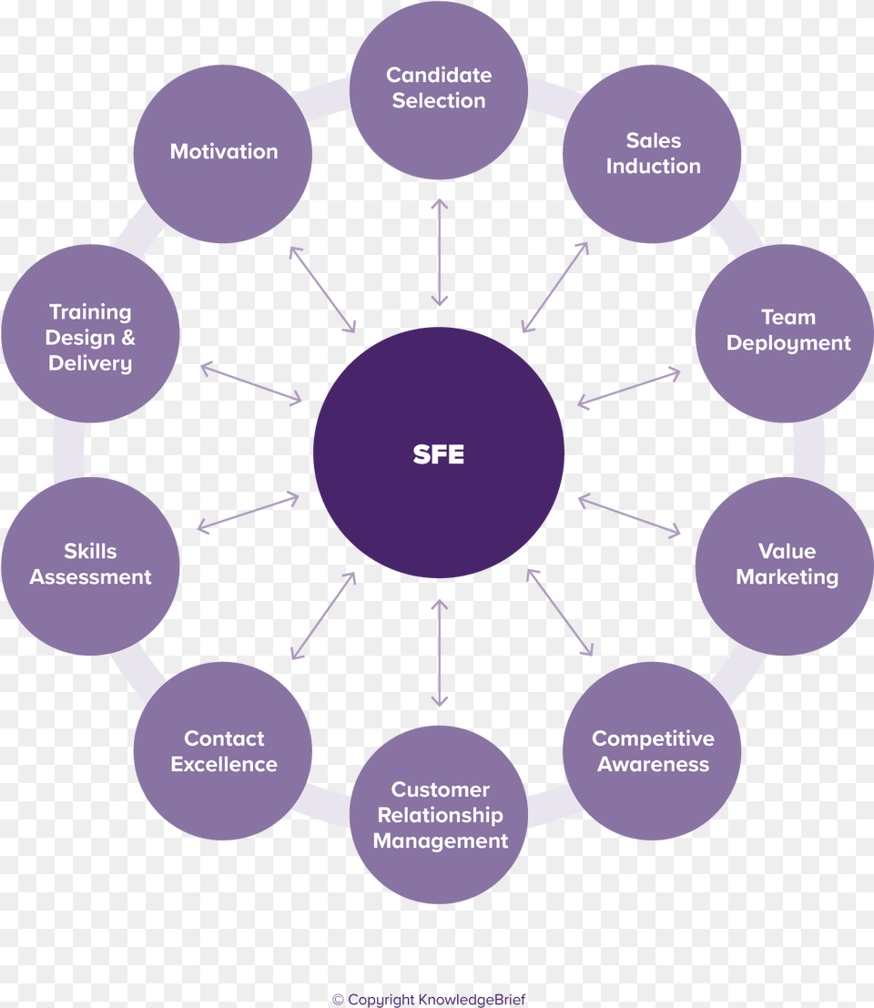 Sales Force Effectiveness Sales Force Effectiveness Model, Disk, Diagram Png Image