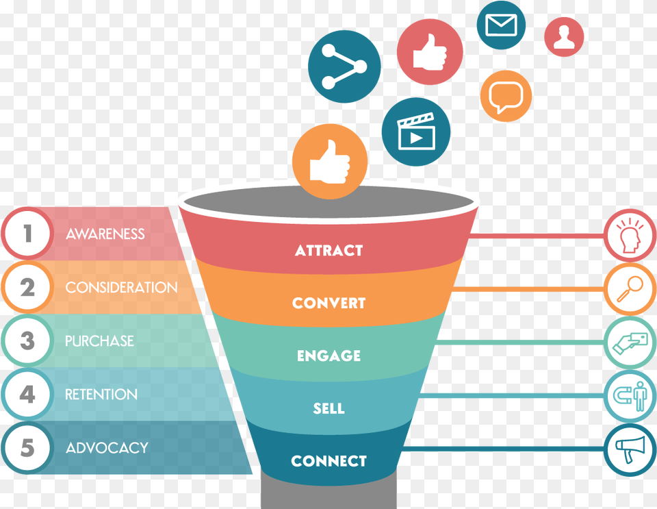 Sales Funnel, Cup, Chart, Plot, Cream Free Png Download