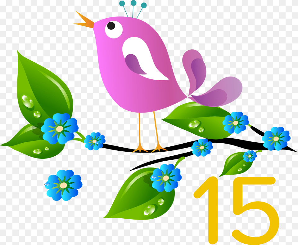 Salesforce Spring New Features, Number, Symbol, Text, Animal Free Transparent Png
