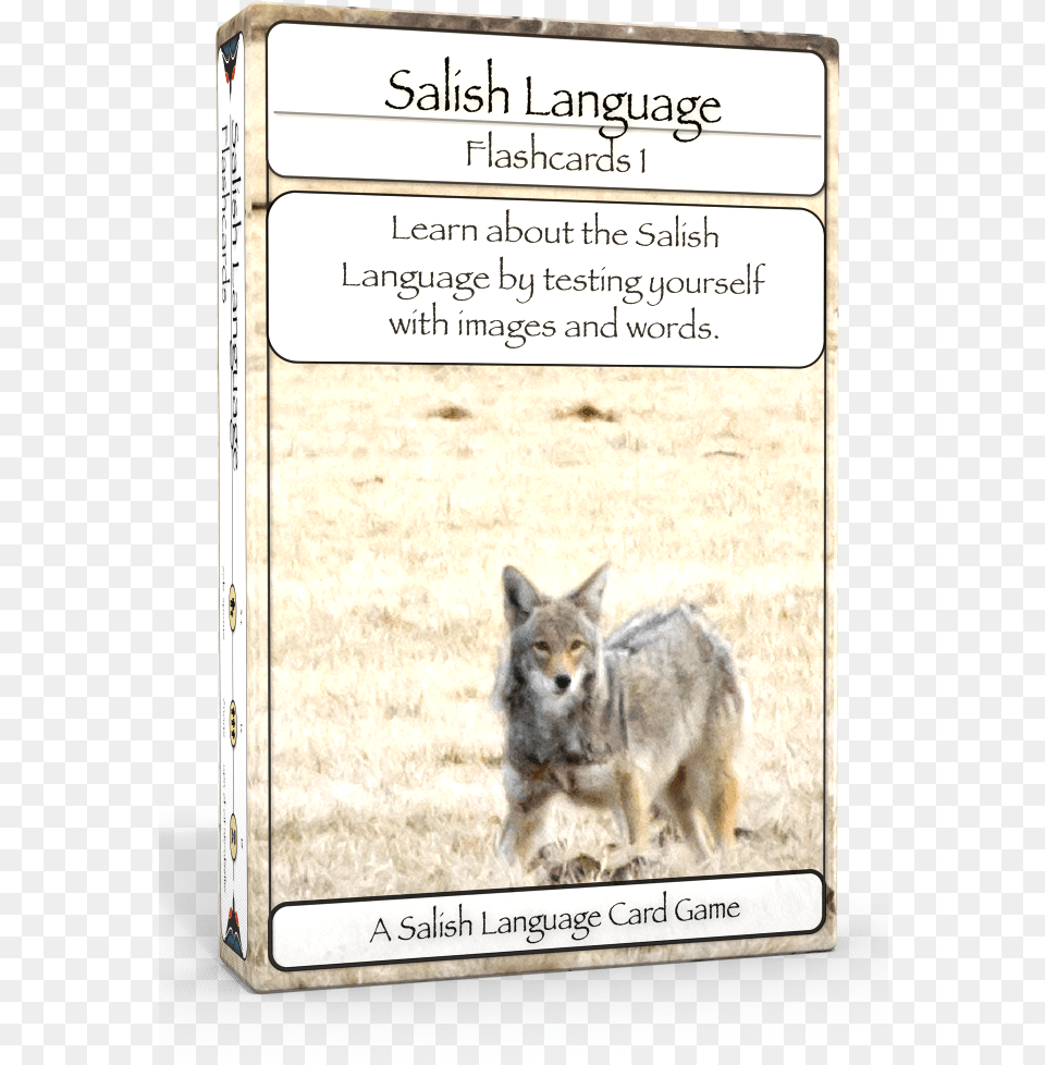 Salish Flashcards 1 3d Edu Boxshot Left Coyote, Animal, Mammal, Canine, Dog Free Png Download