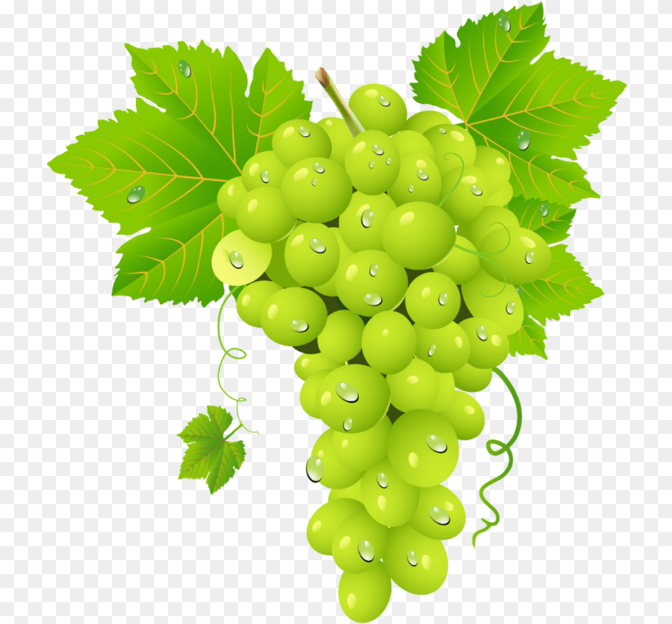 Salkm Zm, Food, Fruit, Grapes, Plant Free Png Download