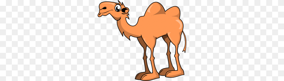 Sally The Camel Kindergarten Nation, Animal, Mammal, Bear, Wildlife Png