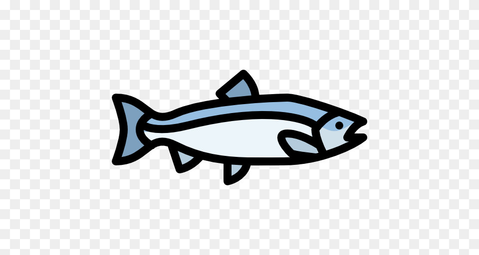 Salmon, Animal, Coho, Fish, Sea Life Png Image